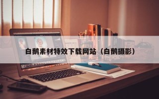 宣城白鹅素材特效下载网站（白鹅摄影）